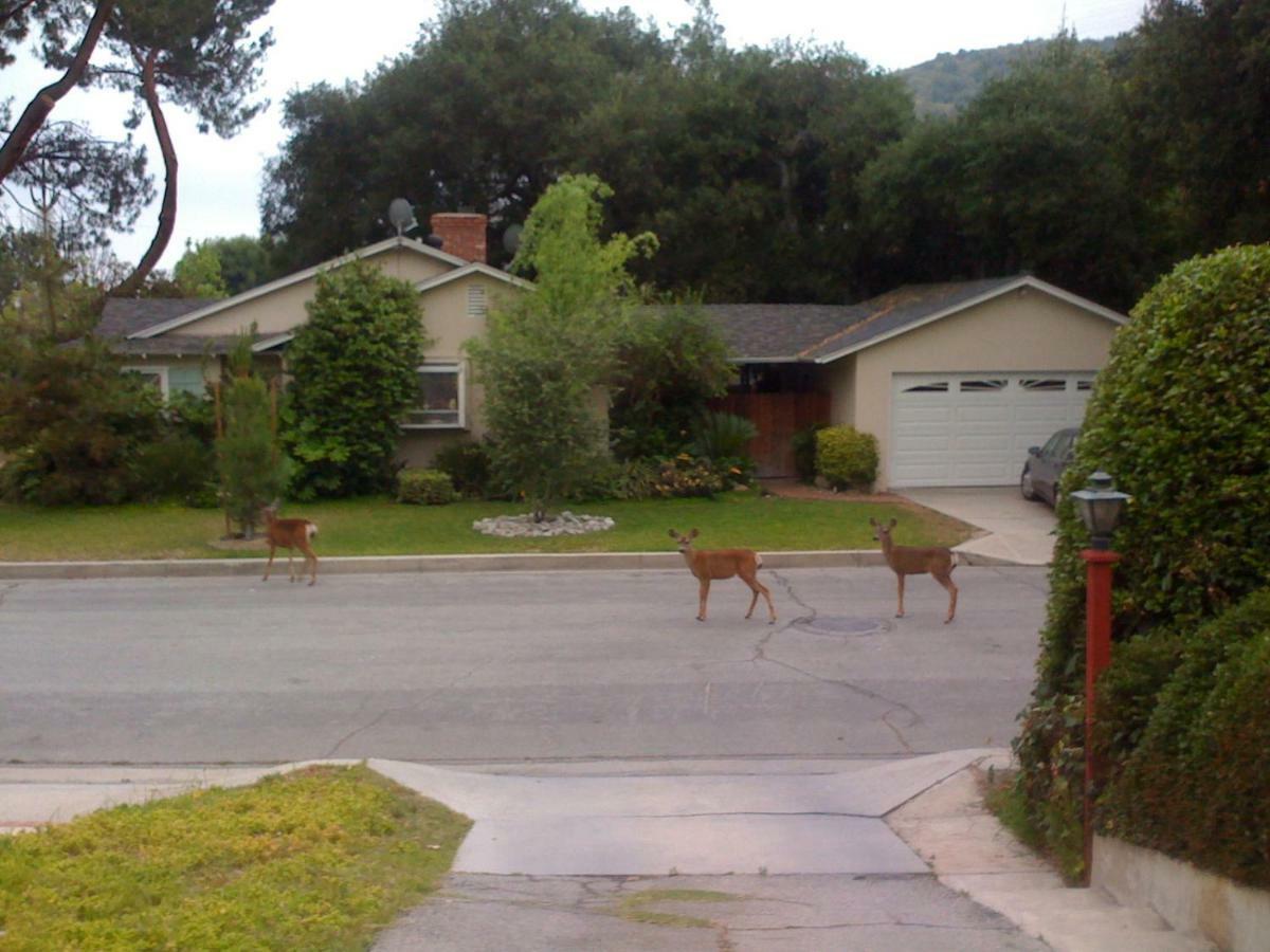 Oak Grove Ranch House Apartment Glendale Exterior foto